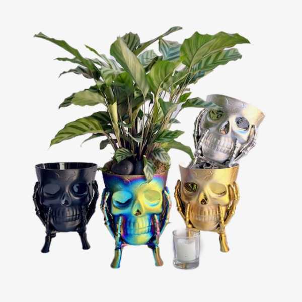 Potted leafy plant in a colorful skull-shaped planter with matching skull containers