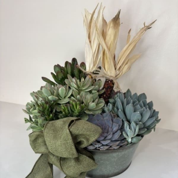 Succulent arrangement in a green container with a large ribbon bow