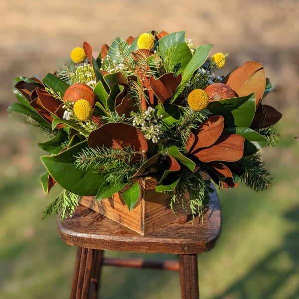 Woodland Magnolia