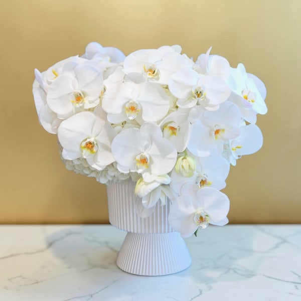 Lunar Orchids