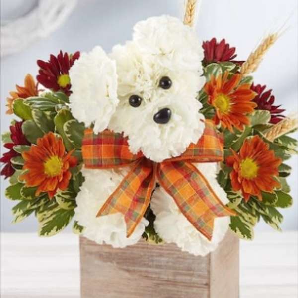 White dog-shaped floral arrangement with orange daisies and a plaid bow in a wooden box