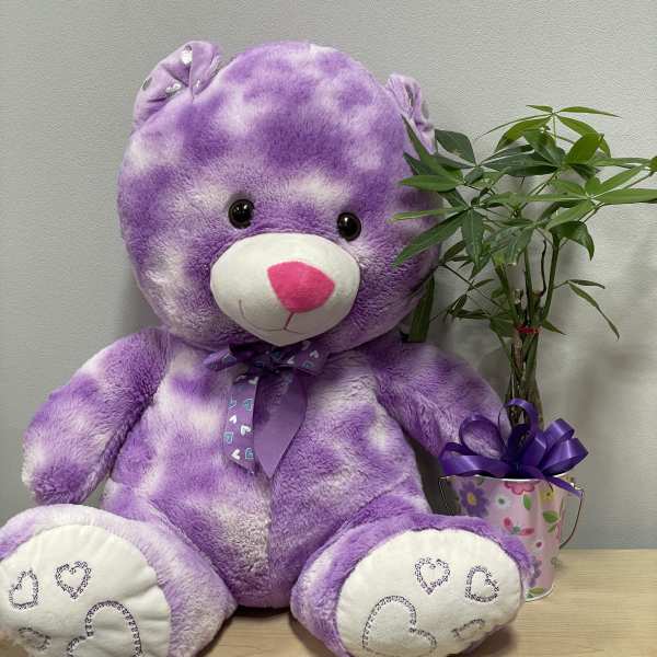 Purple teddy bear beside a small potted plant in a decorated bucket