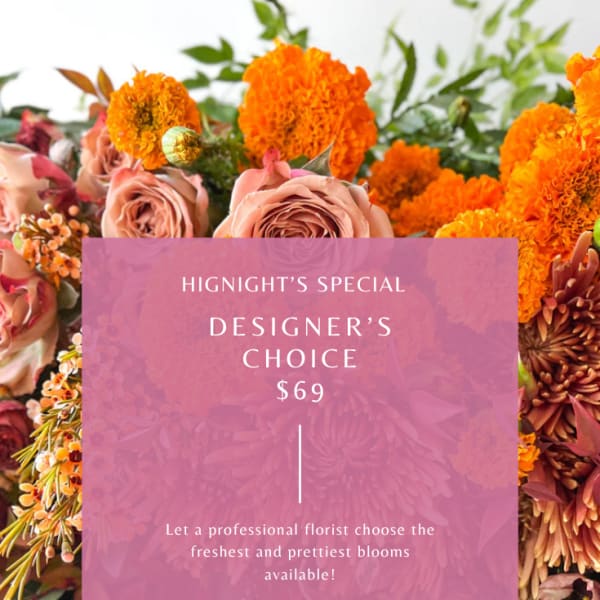 $69 Designer's Choice