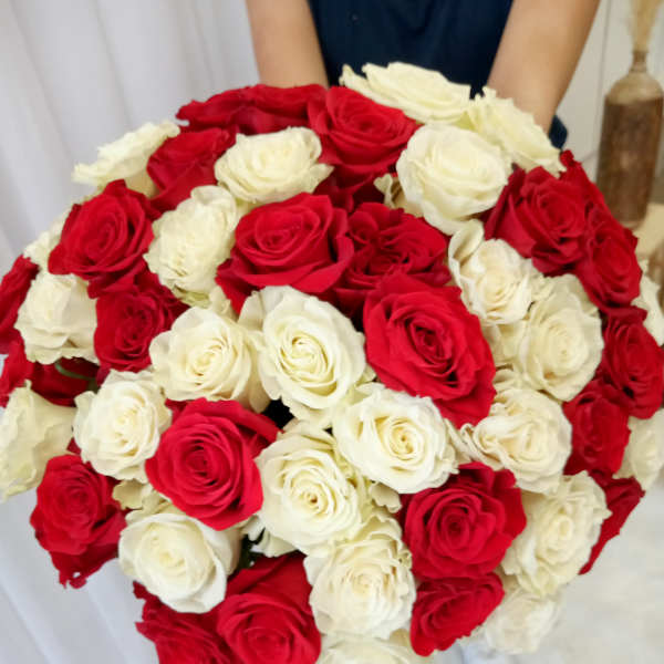 Large bouquet of red and white roses held by a person