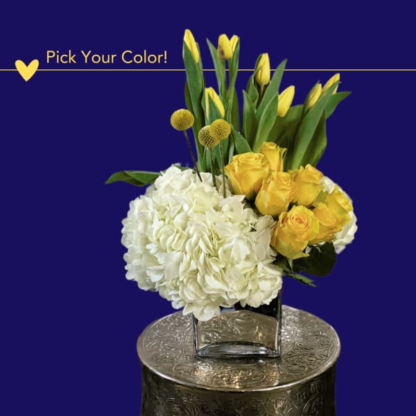 Sultry Sunburst (Any Color) - ALL6735