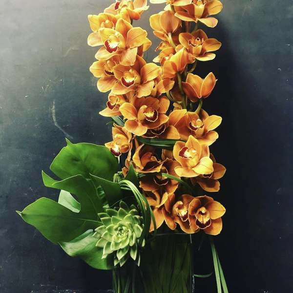 Orange orchids arranged with large green leaves and a succulent.