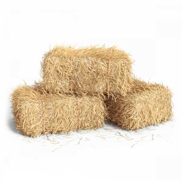 Three small rectangular hay bales stacked on a white background
