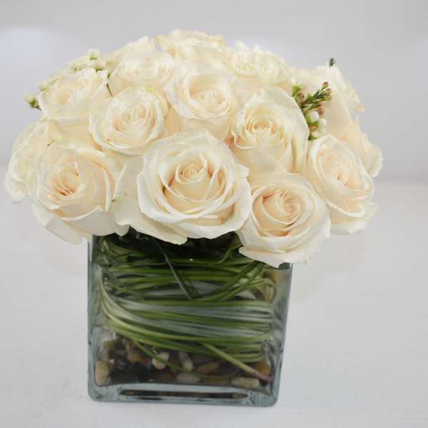Compact arrangement of ivory roses in a clear glass cube vase with spiraled green stems.