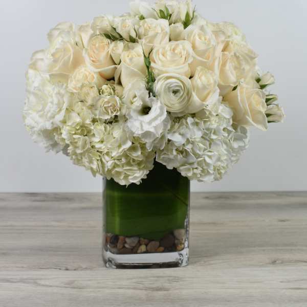 White rose and hydrangea arrangement in a square glass vase