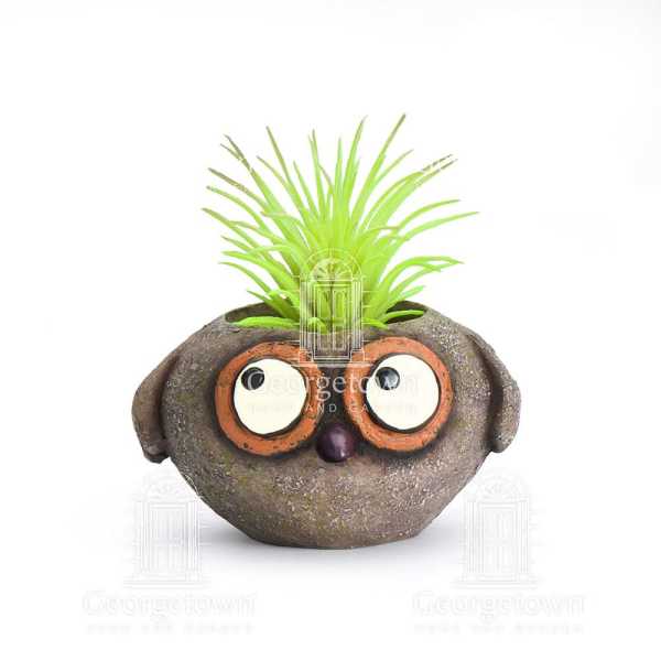Owen, Baby Brown Owl Mini Desktop Planter with Air Plant or Succulent by Blob House