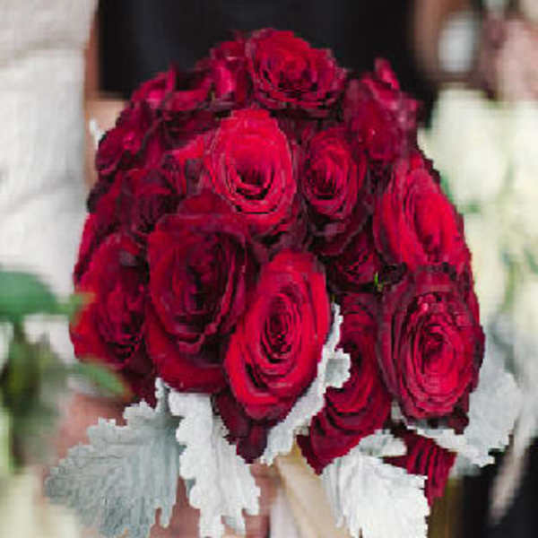 Bouquet of deep red roses with white ribbon accents