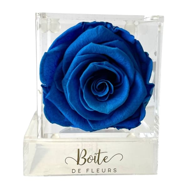 Single blue rose in a clear display box
