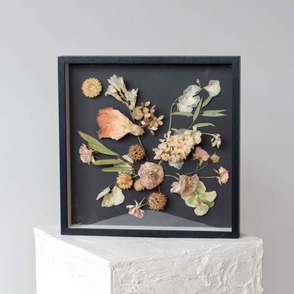 Framed pressed flowers arranged on a black background