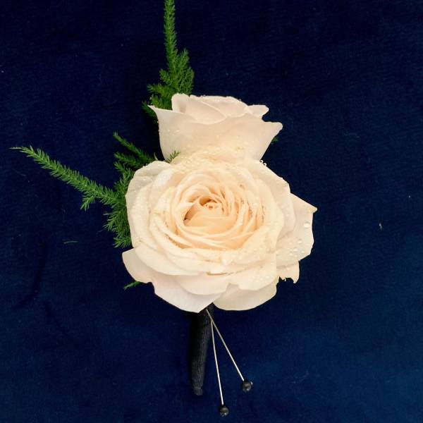 Single cream rose boutonniere with green sprigs on a dark background