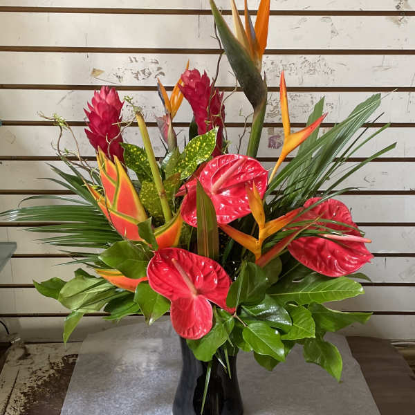 Tall tropical arrangement with red anthurium and orange bird-of-paradise in a black vase