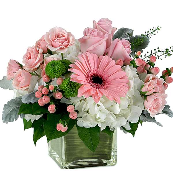 New Baby New Girl Flowers