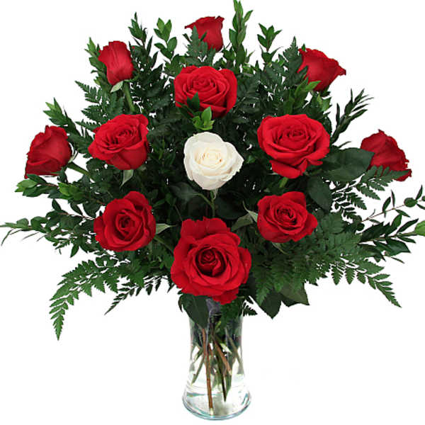 Special Love Arrangement