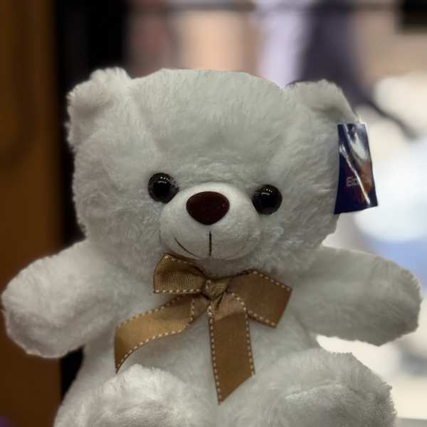 White plush teddy bear with a brown ribbon bow