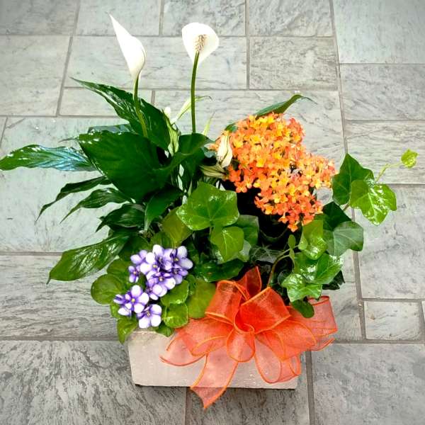 Potted arrangement with white calla lilies, orange flowers, and purple blooms