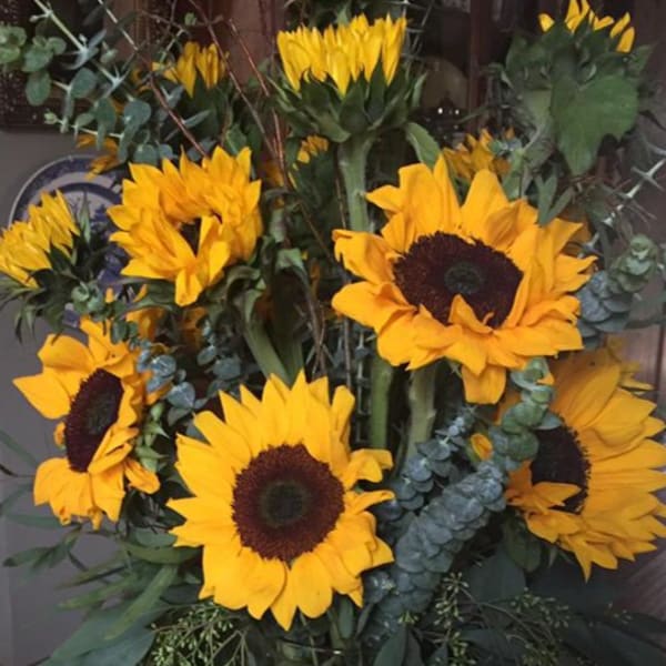 Bouquet of yellow sunflowers with dark centers and eucalyptus foliage