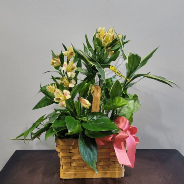 Planter Garden