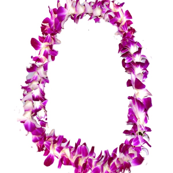 Purple and white orchid lei on a white background