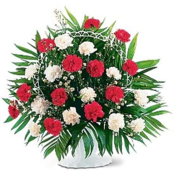 Red and white carnation arrangement in a white vase