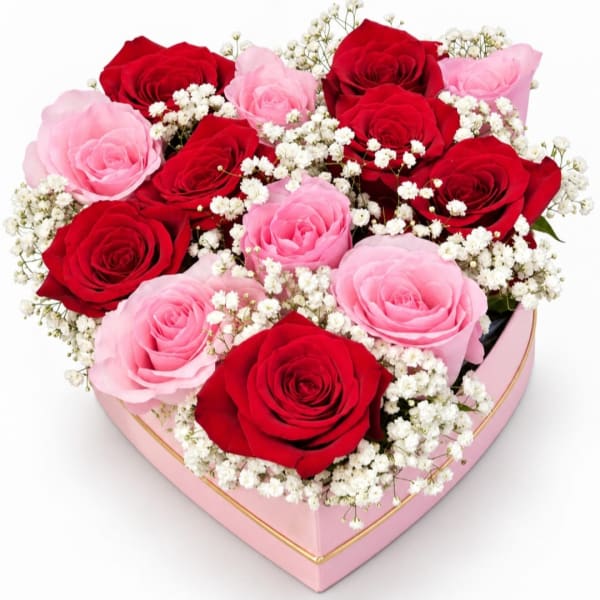 Heart-shaped box of red and pink roses with white baby's breath