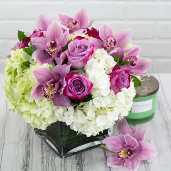 Lovely in Lavender - David Z Designs