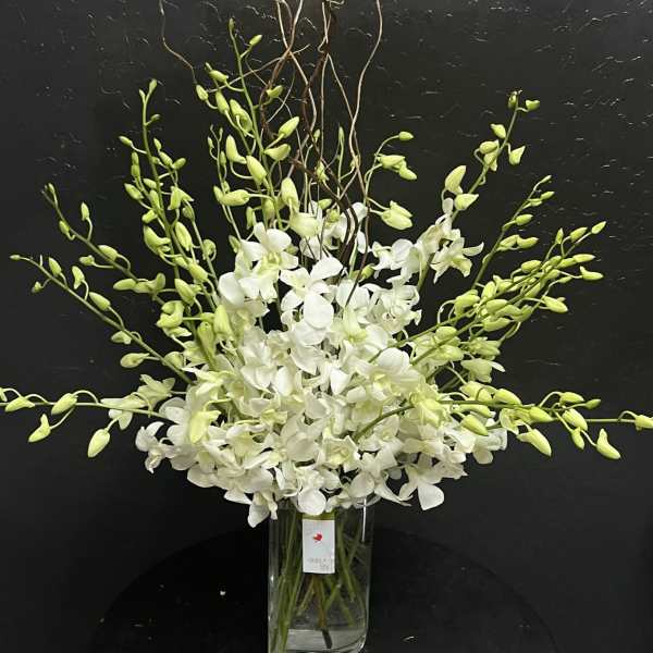 White orchid arrangement in a clear glass vase with arching green buds