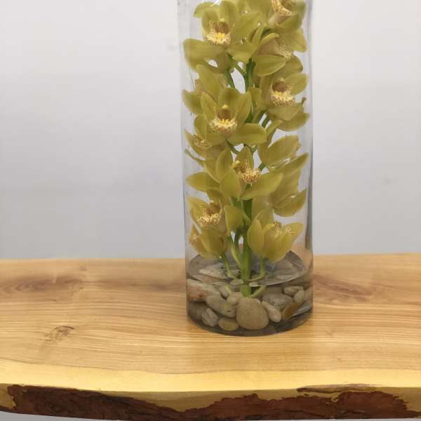 Yellow orchid stems in a tall glass vase with stones