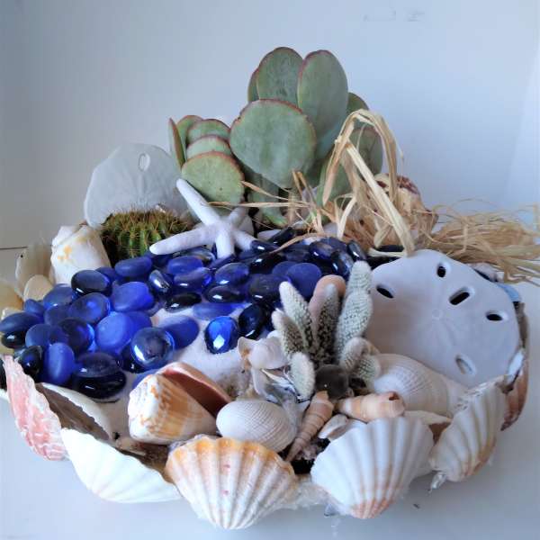Coastal-themed succulent dish garden with blue glass stones and assorted seashells