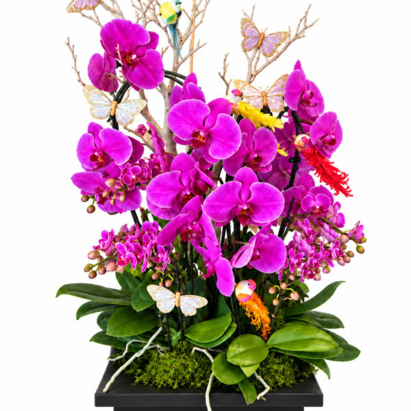 Magenta orchids arranged with butterfly decorations in a black planter