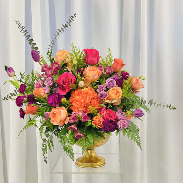 Burst of Orange