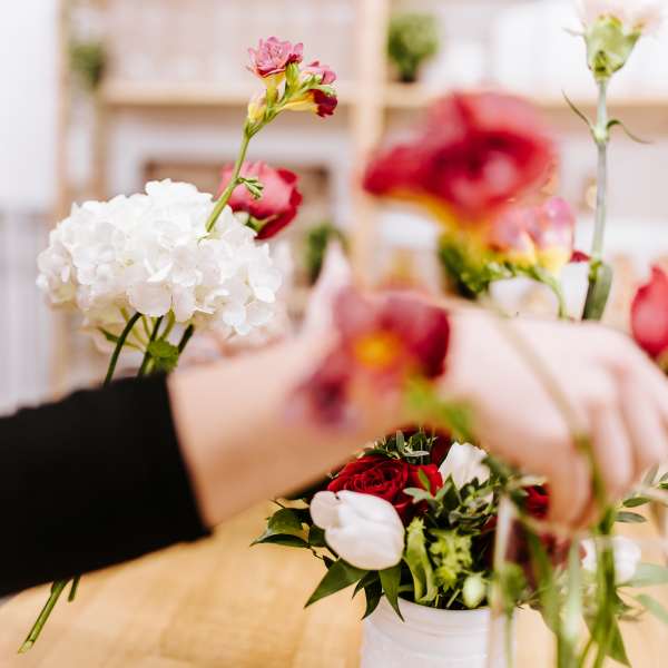 Person arranging red and white flowers in a vase