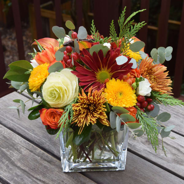 Bright Wishes for Fall