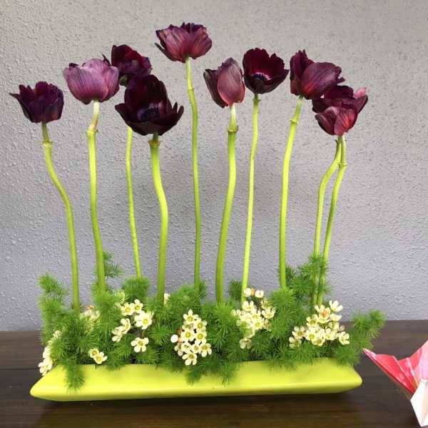 Purple flowers on tall stems in a lime green rectangular vase