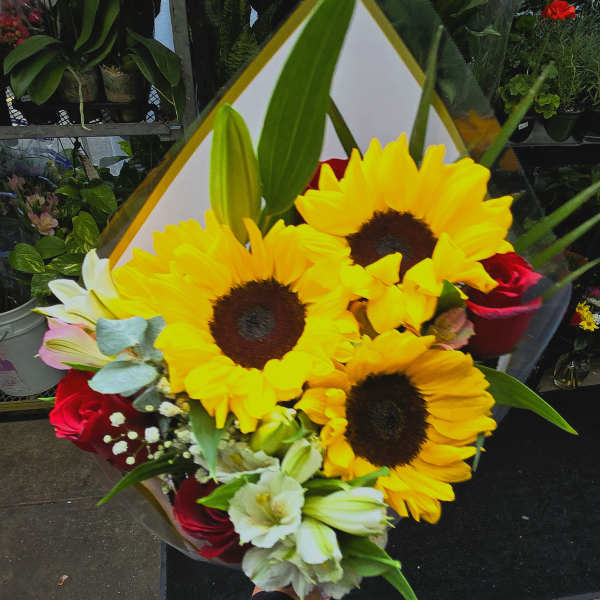 Bouquet of sunflowers, red roses, and white lilies wrapped in clear paper