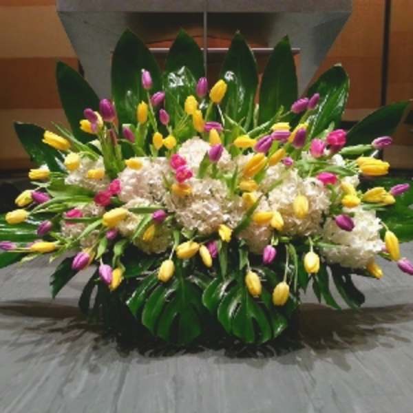 Low centerpiece of yellow and purple tulips with white hydrangeas and large dark green tropical leaves.