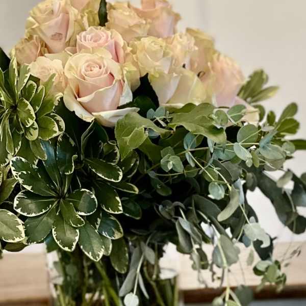 Cluster of Pink Mondial Roses
