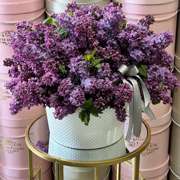 Bouquet of purple lilacs in a white hatbox with a ribbon