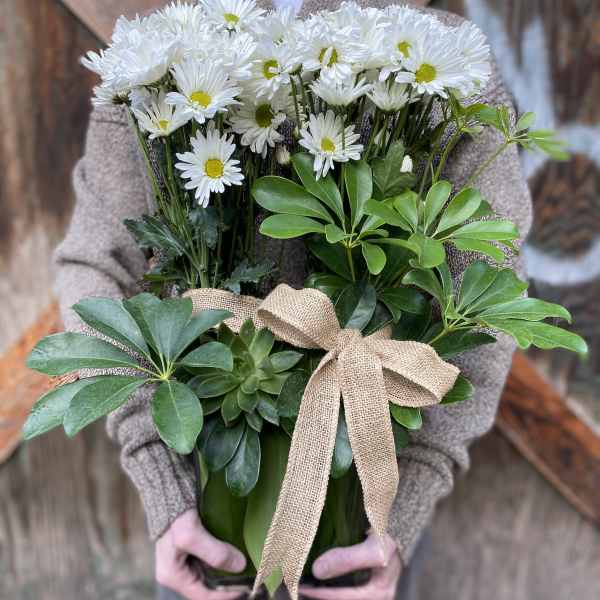 Bouquet of white daisies with green foliage and a burlap bow
