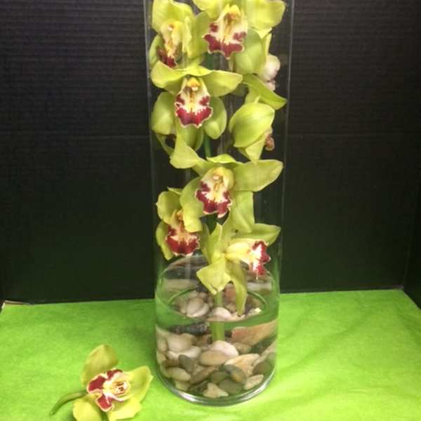 Green orchids in a tall glass cylinder vase with pebbles