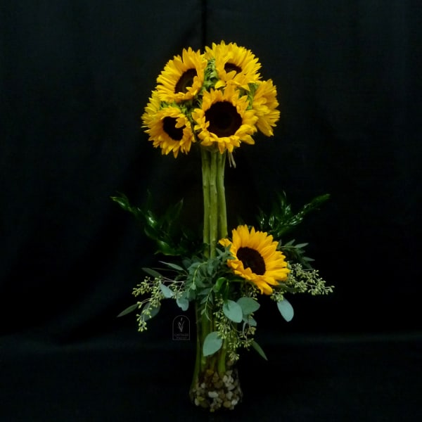 Tall sunflower arrangement in a clear vase with greenery and pebbles