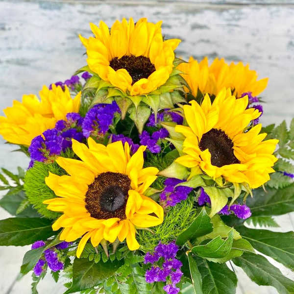 Sunflower Serenade