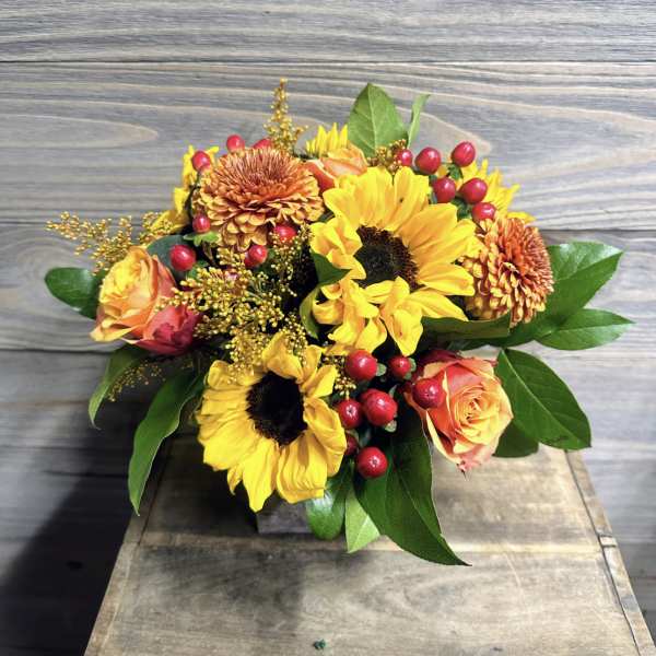 Amber Blooms