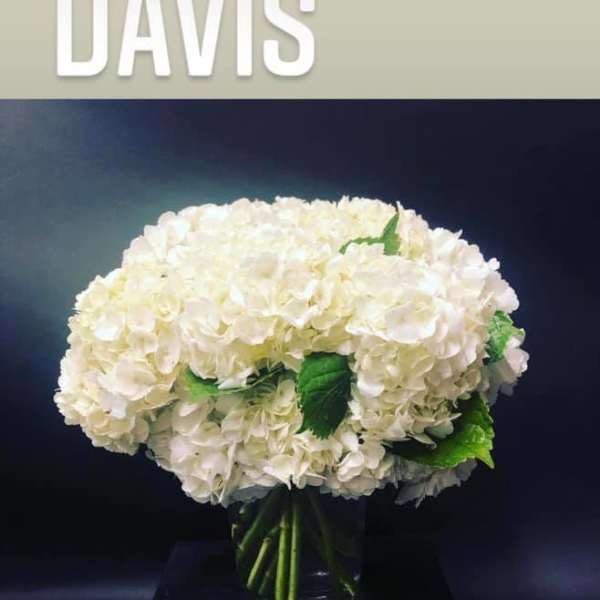 White hydrangea bouquet in a glass vase