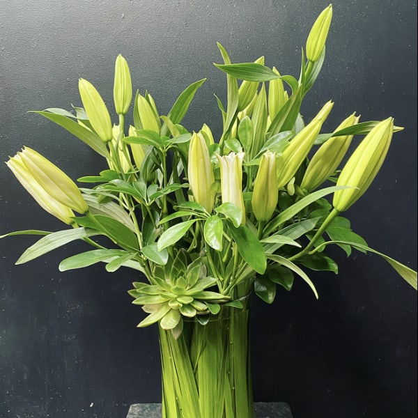 Tall arrangement of unopened yellow lilies in a glass vase