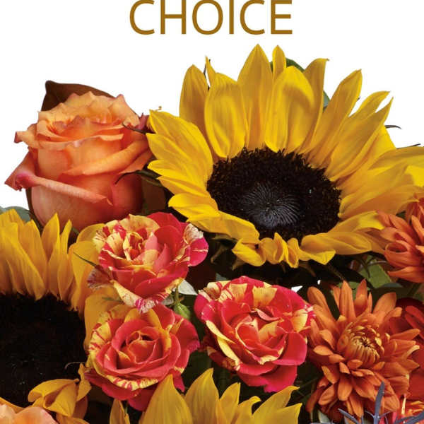 Fall Designer’s Choice