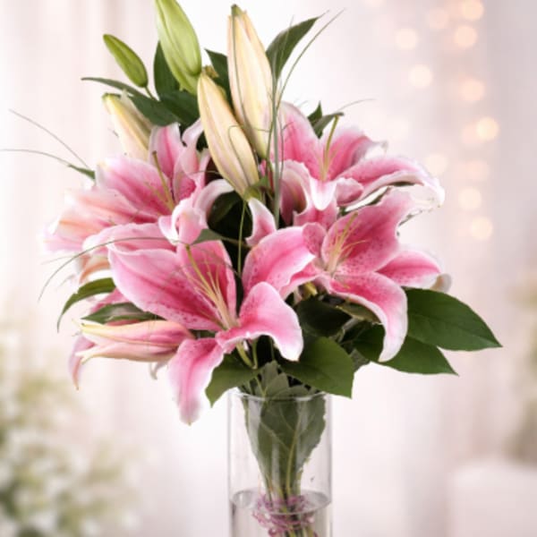 Blushing Stargazer Elegance